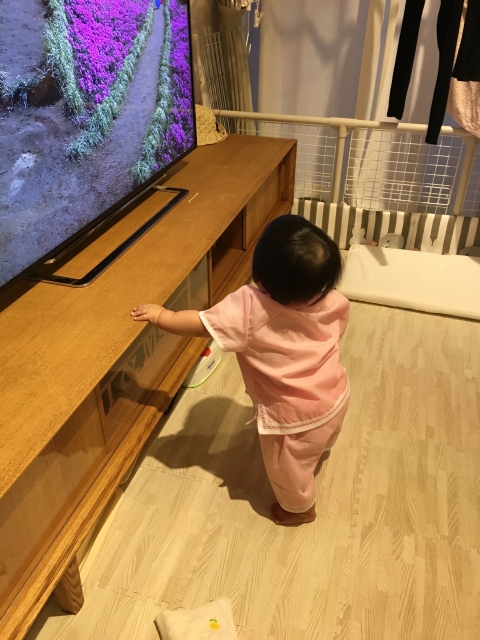 テレビを見てひらめいた1歳